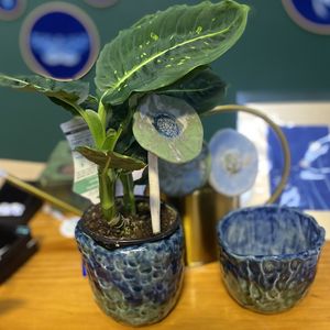 Image gallery thumbnail